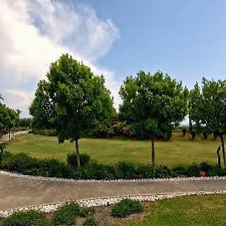 Tt Palace Sarigerme